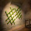 Tattakki - Image 4